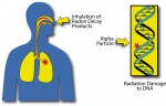 Health Risks